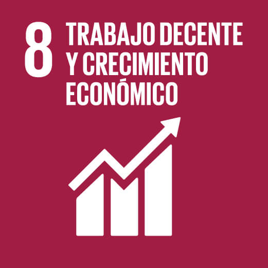 8.Trabajo Decente y Crecimiento Económico