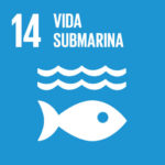 14.Vida Submarina