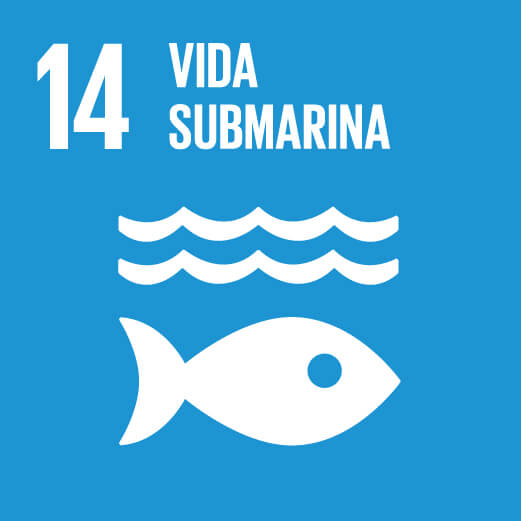 14.Vida Submarina