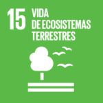 15.Vida de Ecosistemas Terrestres