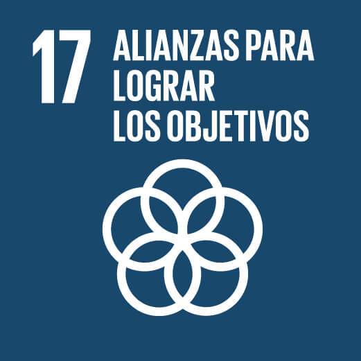 17.Alianzas para lograr los Objetivos