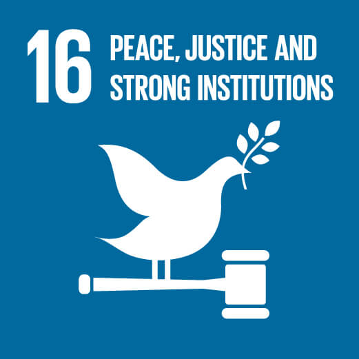 16.Peace, Justice and Strong Institutions
